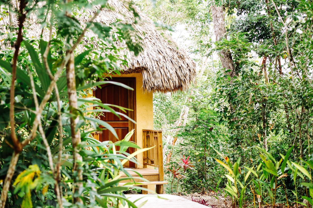 Amber Sunset Jungle Resort San Ignacio Extérieur photo