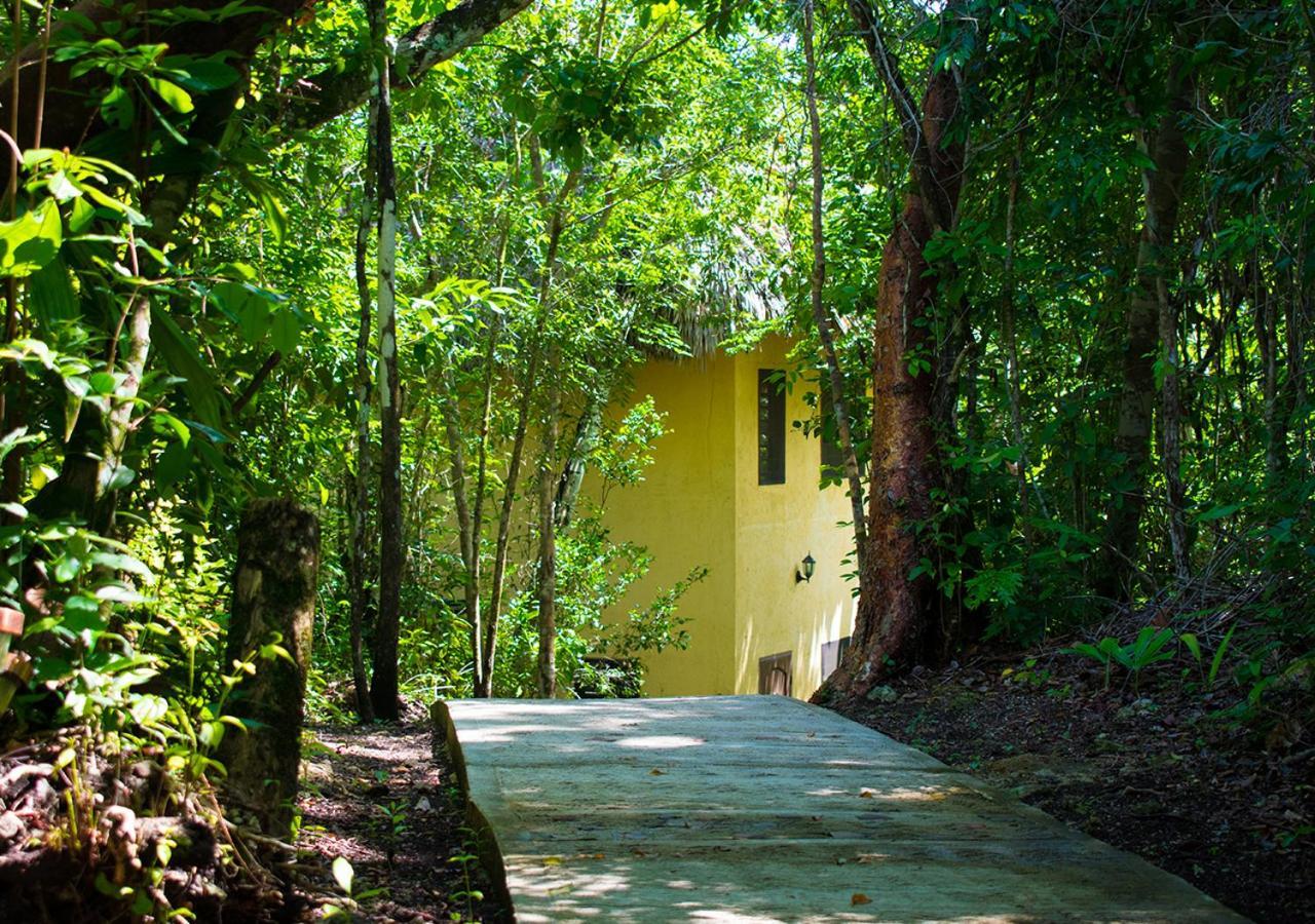 Amber Sunset Jungle Resort San Ignacio Extérieur photo